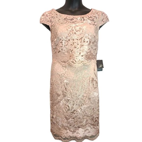 NWT Adrianna Papell Dusty Rose Embroidered Lace Popover Dress Size 2 NEW - Picture 4 of 15